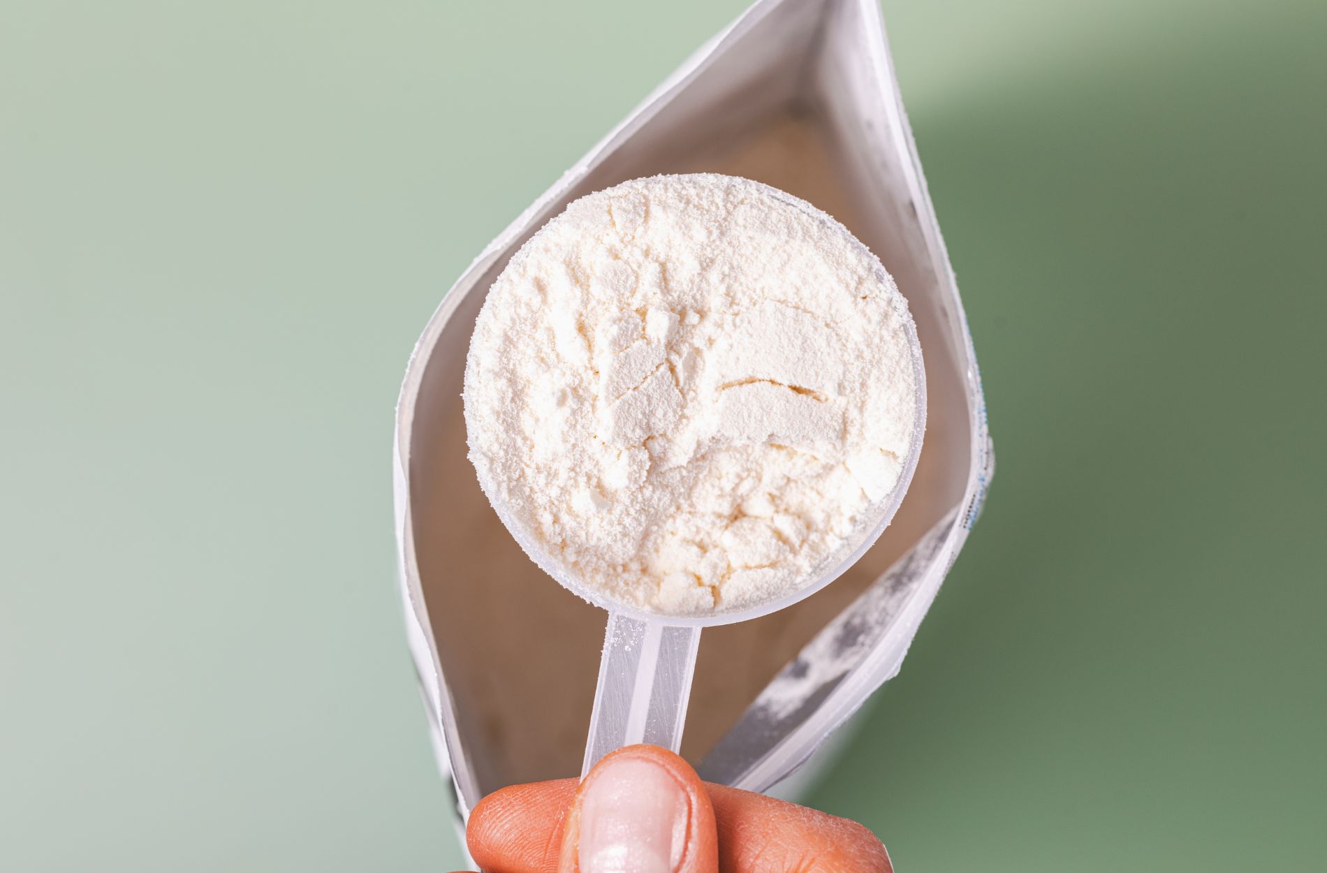 protein powder
